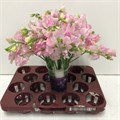 Латирус-Lathyrus-Parfum P Pink--40cm 2a32ec32-23d0-11ee-0a80-14be00222e58