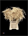 Аспарагус-Asparagus-Extra Veren Antique Gold-65cm 2d031237-c6b5-11f0-0a80-06e100043d72