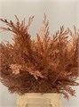 Кониферен-Coniferen-Copper 2d106b37-c6b5-11f0-0a80-06e100043d7b
