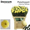 Хризантема одн-Chrysant Gr-Vienna Yellow-80cm-130gr 2d8b7bd1-38d2-11ed-0a80-0857000c5f36