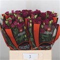 Лизиантус G-Lisianthus G-Arosa Red--72cm 2da83364-7ece-11ed-0a80-03e9002a0fcb