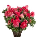Анемон-Anemone-Mistral Shocking-45cm 2dd0b4c1-86d4-11ee-0a80-0d52004cf955