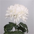 Хризантема одн-Chrysant Gr-Antonov-70cm-120gr 047e9c62-bfa6-11ec-0a80-0b4c00086963