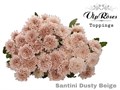 Хризантема сант-Chrysant sant-Dusty Beige-55cm-110gr 2e1ed211-bfa6-11ec-0a80-0b4c000890ff