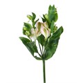 Альстромерия-Alstroemeria-Fl Charmelia Pink --75cm 2f7ce1dd-86d4-11ee-0a80-0d52004cf9a6