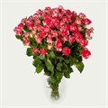 Роза куст-Rosa sp-Fire Works-40cm-RS 2fccf07f-0134-11ee-0a80-0dca000c4426