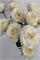 Роза куст-Rosa sp-4 Good white-53cm-Ti 2fee1874-8c82-11f0-0a80-15c90031318d
