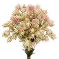 Серрурия-Serruria-Sugar N Spice-50cm 3024f6e3-407b-11f0-0a80-07e2000dc70b