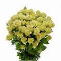 Роза куст-Rosa sp-Wedding Invite-80cm-RS 04b7188c-9fff-11ee-0a80-08ae00108610