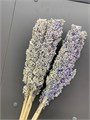 Сухоцвет-Sorgo 5St-Lavanda-bunch 30e3e675-9388-11ed-0a80-0e9800242392