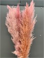 Сухоцвет-Pampas 6St-Rosa Baby-bunch 30eae852-9388-11ed-0a80-0e9800242395
