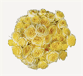 Роза куст-Rosa sp-Fibonacci Giocconda-50cm-EA 30fe3980-b52e-11ee-0a80-033600111695