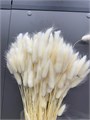 Сухоцвет-Lagurus 100Gr-Bianco-bunch 310b3e6d-9388-11ed-0a80-0e98002423a4