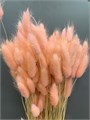 Сухоцвет-Lagurus 100Gr-Rosa Baby-bunch 3111a063-9388-11ed-0a80-0e98002423a7