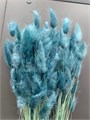 Сухоцвет-Lagurus 100Gr-Turchese-bunch 311e72e0-9388-11ed-0a80-0e98002423ad