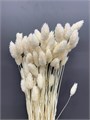 Сухоцвет-Phalaris 100Gr-Bianco-bunch 312b6670-9388-11ed-0a80-0e98002423b3