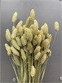 Сухоцвет-Phalaris 100Gr-Naturale-bunch 3131f479-9388-11ed-0a80-0e98002423b6