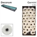 Гербера-Gerbera-Mi Lido Doos-/45cm 327563d7-ffe8-11ef-0a80-01c40008e831