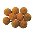 Краспедия-Craspedia-60cm--MS 050073e5-6101-11ed-0a80-0f8a00171edd