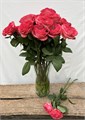 Роза куст-Rosa sp-Coral Reeva--70cm-RS 32dafb25-32d2-11ee-0a80-02fd0011783f
