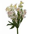 Альстромерия-Alstroemeria-Balerina-60cm-QA 330055ba-2e86-11ef-0a80-044700022a5a