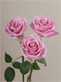 Роза-Rosa-Rosita Vendela-50cm-QA 333e81ec-647c-11f0-0a80-05de0028b18c