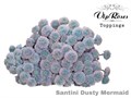 Хризантема сант-Chrysant sant-Dusty Mermaid-55cm-100gr 336e51c4-343d-11ee-0a80-0dd40017ec3a