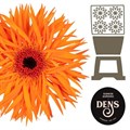 Гербера-Gerbera-Gr Spider Oranje Springs Diamond-50cm 342de69e-22c2-11ed-0a80-014500136c1e