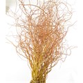 Саликс-Salix-Golden-130cm 3618b25a-d0e7-11f0-0a80-01700015fe84