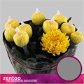 Хризантема одн-Chrysant Gr-Leto-70cm-80gr 367d73ea-fc88-11ee-0a80-11150001754a