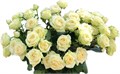 Роза куст-Rosa sp-Sandy Coast-70cm-RS 36b8abaf-7158-11ed-0a80-0ba0000b42f5