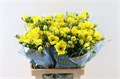 Ранункулус-Ranunculus-Butterfly Artemis-60cm-55gr 370181d0-e508-11ee-0a80-03d7002f96e8