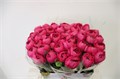 Ранункулус-Ranunculus-Cloni Bolero Super-45cm-DA 372c7f1b-b5e7-11ed-0a80-0db3004ab93e