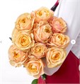 Роза Викториан Пич 60см (Россия) 37344283-0009-11f1-0a80-0eda002b0350