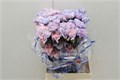 Гвоздика ст-Dianthus st-Tainted Mine Antike-75cm 3739595b-22c2-11ed-0a80-014500136ca7