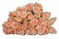 Роза куст-Rosa sp-4 Good Wedding-50cm-RS 37dab45a-e53b-11ed-0a80-078b0001966c