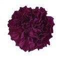 Гвоздика SE-Dianthus SE-Monsenor-FC 37fd9d5b-84b1-11f0-0a80-131600332235