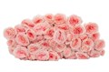 Роза куст-Rosa sp-Bellalinda Kiss-60cm-Si 38ca0029-c1fa-11ee-0a80-01b5001944d4