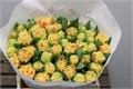 Тюльпан-Tulip-Fr Brisbane-35cm-42gr 38f5b28c-f48a-11ed-0a80-00f200045e66