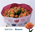 Тюльпан-Tulip-Gefranjerd Brisbane Super-34cm-48gr 39090d6d-f48a-11ed-0a80-00f200045e6c