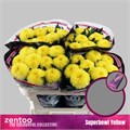 Хризантема одн-Chrysant Gr-Superbowl Yellow-70cm-80gr 0653e37c-caa2-11f0-0a80-014b00012a22