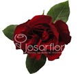 Роза-Rosa-Hearts-60cm-/FE 3a7a8abb-147f-11ef-0a80-00d5001968d6