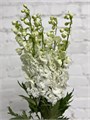 Дельфиниум-Delphinium-Snow White--120cm-Bg 3d051cef-921d-11ef-0a80-169000196589