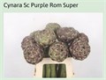 Артишок-Cynara Scolymus Purple Of Romagna 3ea63480-19de-11f0-0a80-0489000b6f29
