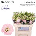 Лизиантус G-Lisianthus G-Alissa Hanoi Pink-70cm 3ebc9462-d1e4-11ed-0a80-0b0a0037b2a7