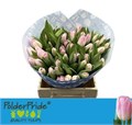 Тюльпан-Tulip-En Dynasty-35cm-32gr 3fad02d9-033e-11f1-0a80-11ea0028f18e