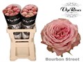 Роза-Rosa-Gr Bourbon Street-60cm 3fb6a972-17cb-11ed-0a80-00b300239092