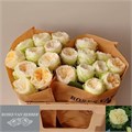 Роза-Rosa-Gr Lovely Harper!-60cm 40705407-2bba-11ee-0a80-08e9000dbce4