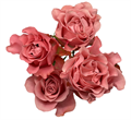 Роза-Rosa-Valentina-50cm-FL 0757bdc1-971b-11ed-0a80-0ca10080ebfd