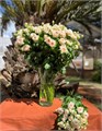 Роза куст-Rosa sp-Sancerre-40cm-RS 40ba60c9-3a31-11ef-0a80-0bf800010969